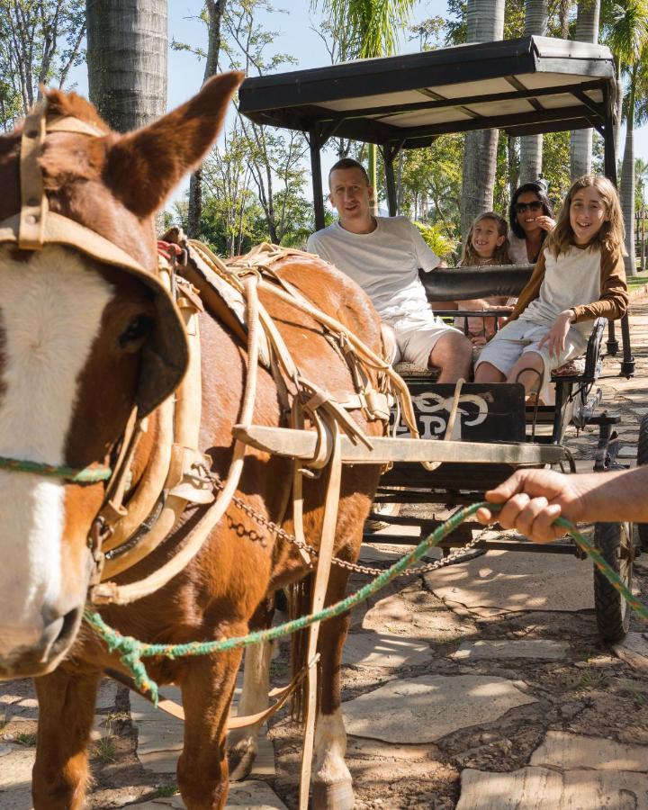 Pousada Dos Pireneus Pirenópolis Екстериор снимка